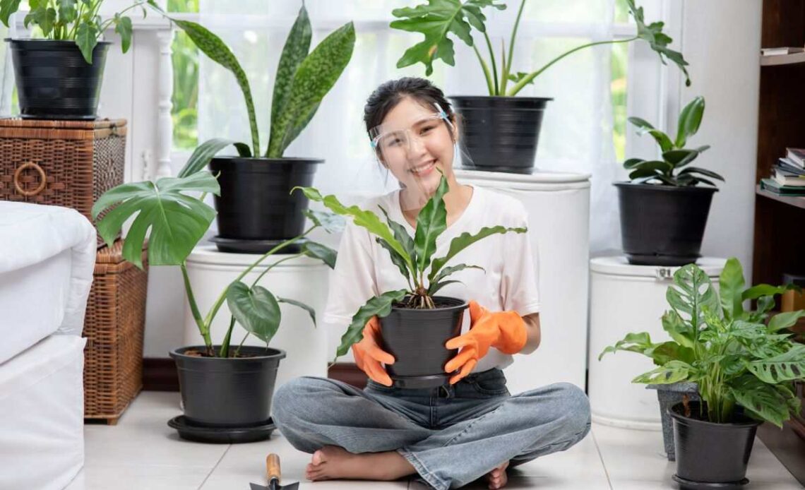 Indoor Gardening