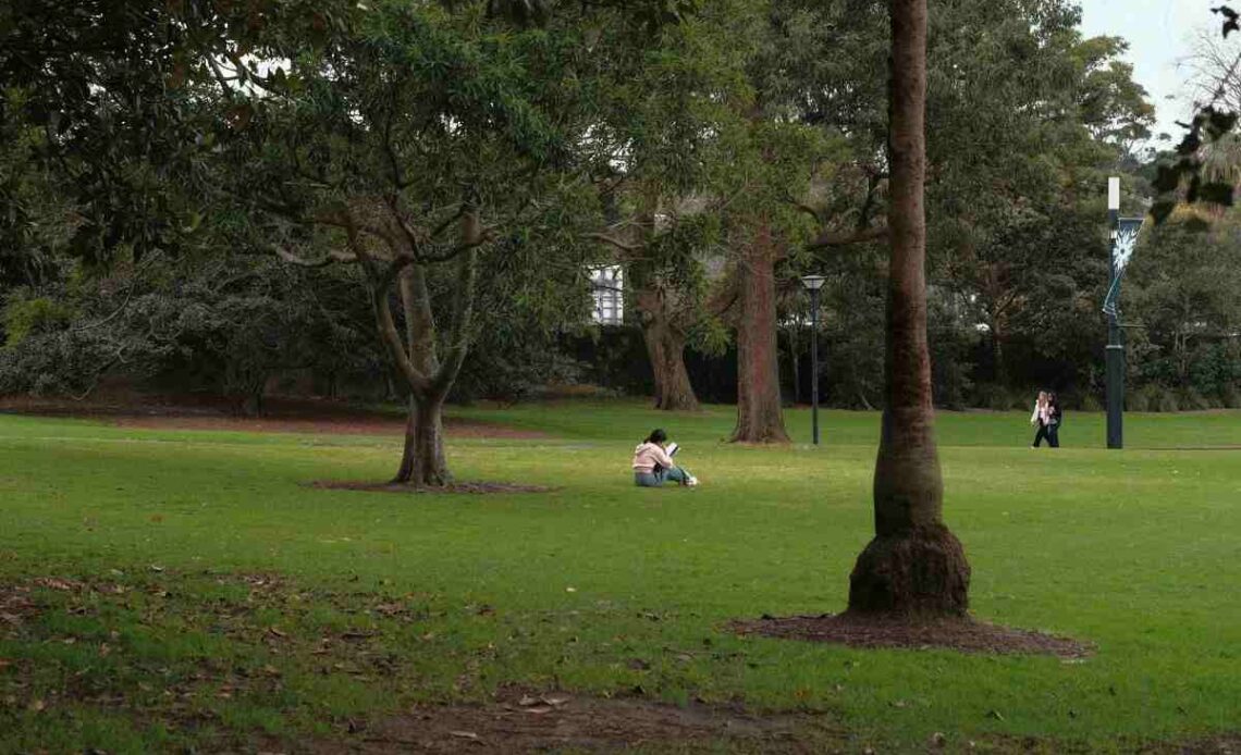 Hidden Green Gems (Parks)