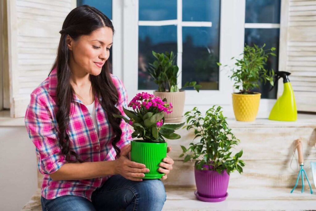 Indoor Gardening Tips