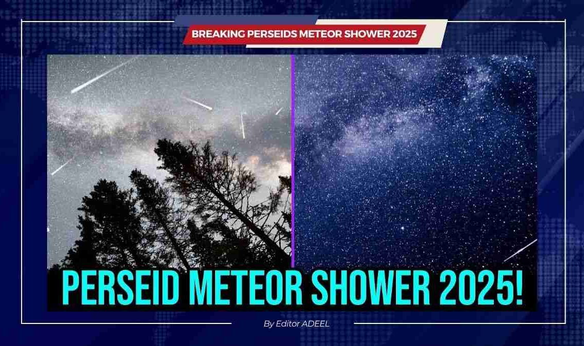 Perseids Meteor Shower