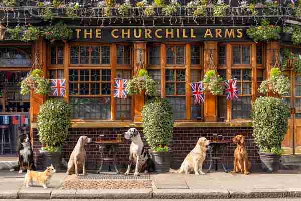 The Churchill Arms